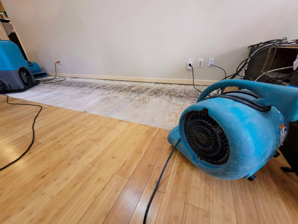 Professional Water Damage Repair technician working in Pleasant Hill, OH
